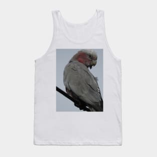 Galah Tank Top